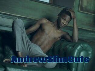 AndrewSlimCute