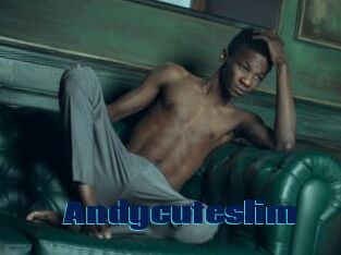 Andycuteslim