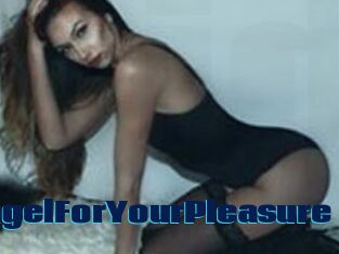 AngelForYourPleasure