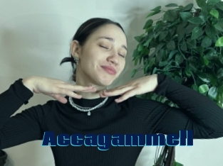 Accagammell