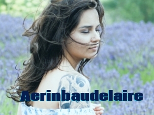 Aerinbaudelaire