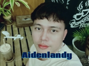 Aidenlandy