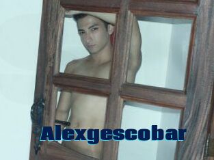 Alexgescobar