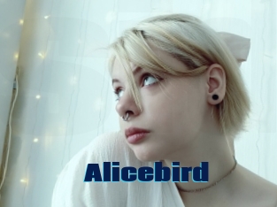 Alicebird