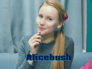 Alicebush
