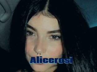 Alicerosi