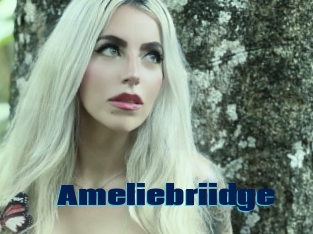 Ameliebriidge
