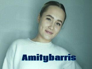Amitybarris