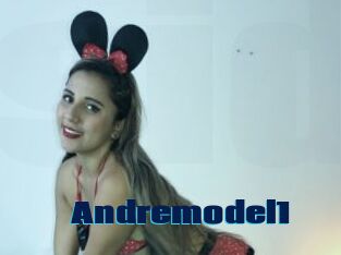 Andremodel1