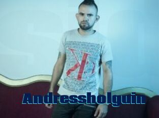 Andressholguin
