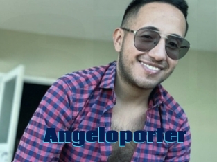 Angeloporter