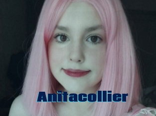 Anitacollier