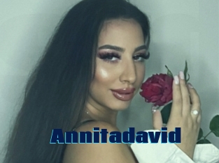 Annitadavid