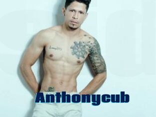 Anthonycub