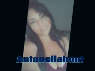 Antonellahunt