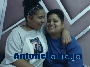 Antonellamaya