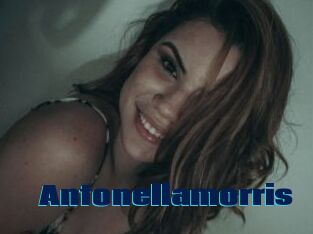 Antonellamorris