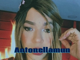 Antonellamun