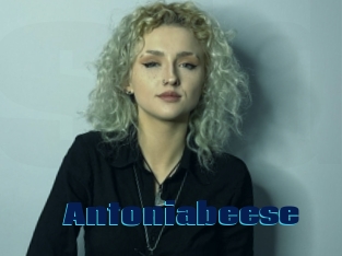 Antoniabeese