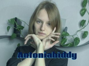 Antoniabiddy