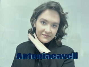 Antoniacavell