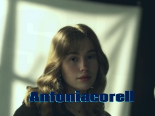 Antoniacorell