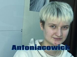 Antoniacowick