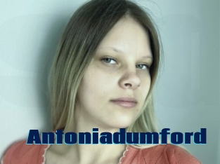 Antoniadumford