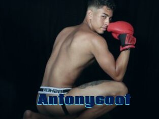 Antonycoot