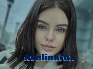 Avelinafox