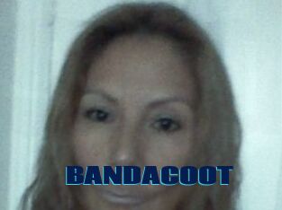 BANDACOOT