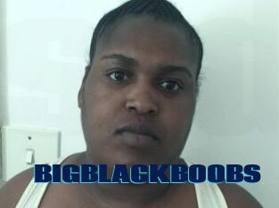 BIGBLACKBOOBS