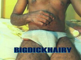 BIGDICKHAIRY