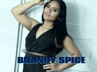 BRANDY_SPICE