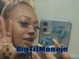 BigTitMonaje