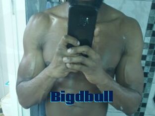 Bigdbull