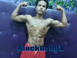 BlackBodyX
