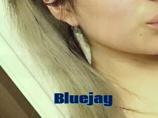 Blue_jay