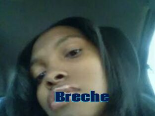 Breche