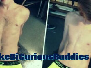BrokeBiCuriousBuddies