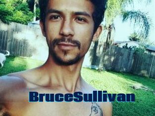 Bruce_Sullivan