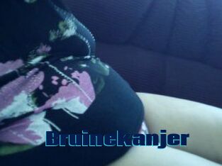 Bruinekanjer