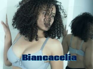 Biancacelia