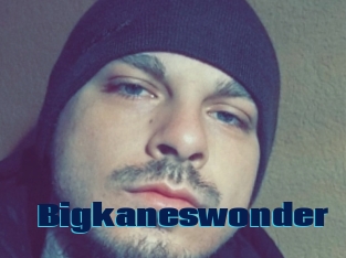 Bigkaneswonder