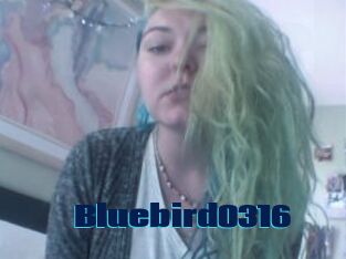 Bluebird0316