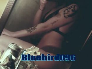 Bluebird096