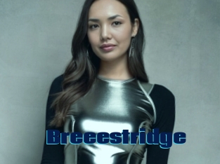Breeestridge