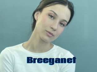 Breeganet