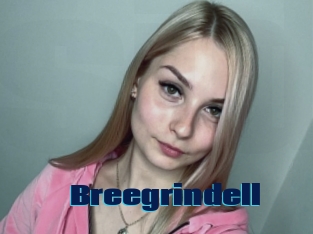 Breegrindell