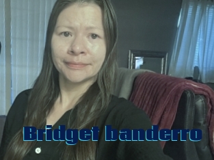 Bridget_banderro